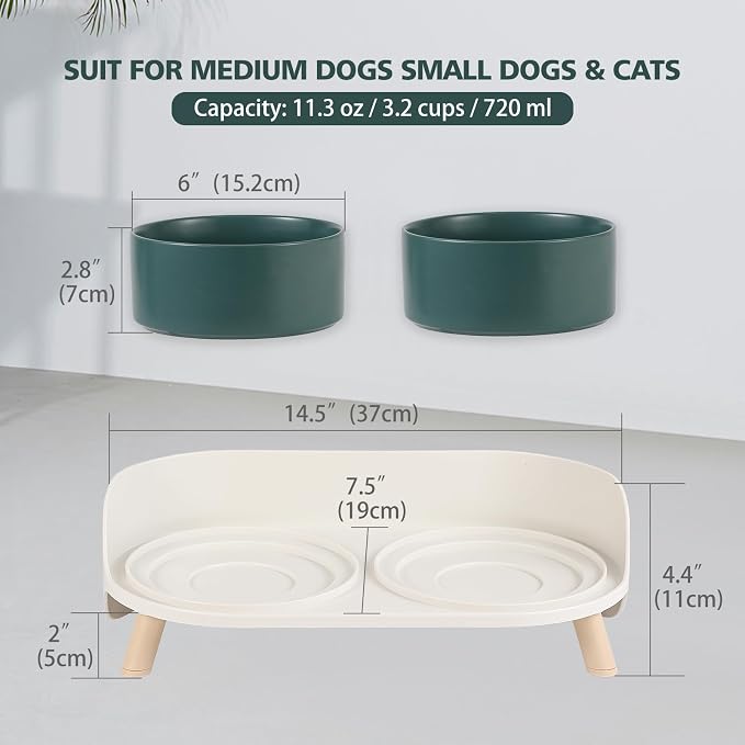 Elevated Ceramic Dog Bowl Set - Double Dog Feeding Bowls with Stand Splash Proof - Raised Dishes for Food and Water - Ideal for Small to Medium Dogs - 2 x 720 ml - 11.3 oz - Green