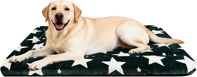 Dog Bed Mat – Soft & Comfortable Dog Kennel Pad for Crate – Durable Crate Bed & Mat for Dogs & Cats – Ideal for Crate, Kennel, and Home Use (Big&Little Stars Green, L(35"*23"*1.5"))