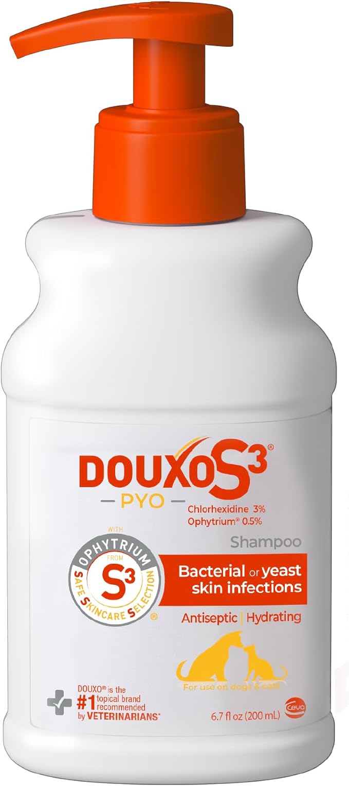 Douxo S3 PYO Medicated Dog Shampoo with 3% Chlorhexidine for Dogs – Antibacterial & Antiseptic Yeast Infection Treatment For Dogs & Cats, Clinically Proven, 6.7 fl oz