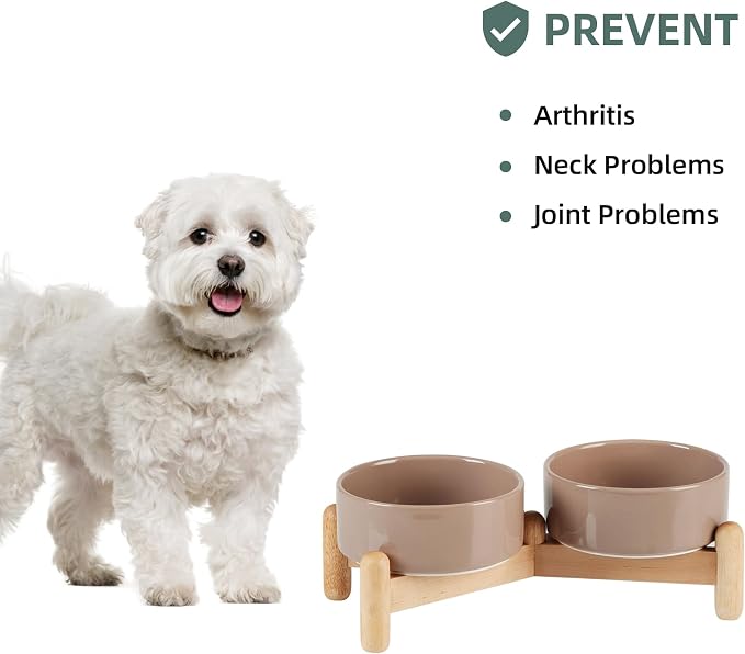 Havniva 5.1inch Ceramic Raised Dog Bowl with Stand, Double Dog Bowls Elevated for Small Breed Dog Food and Water Bowl Set Non-Slip Dog Dish Large Capacity Feeding Pet Water Bowl