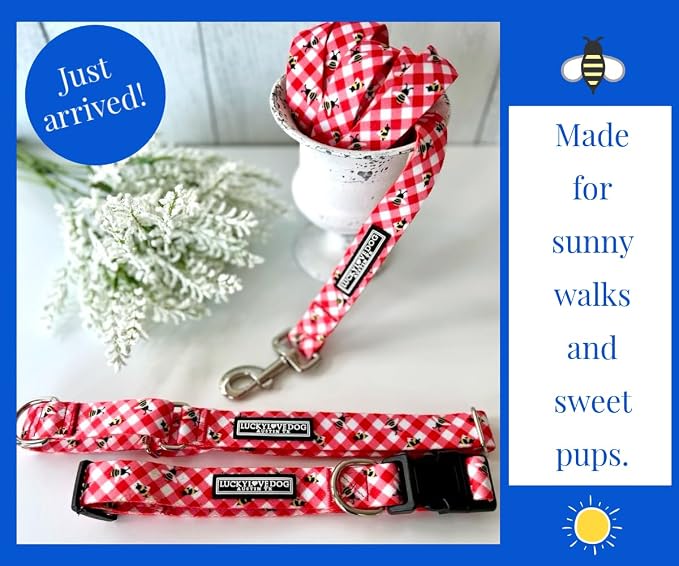 Lucky Love Dog - Adjustable Dog Collar with Easy Click Buckle for Medium, Durable, & Comfortable for Male & Female Dogs, Pet Collar for Puppies & Adult Dogs - Bailey, Medium