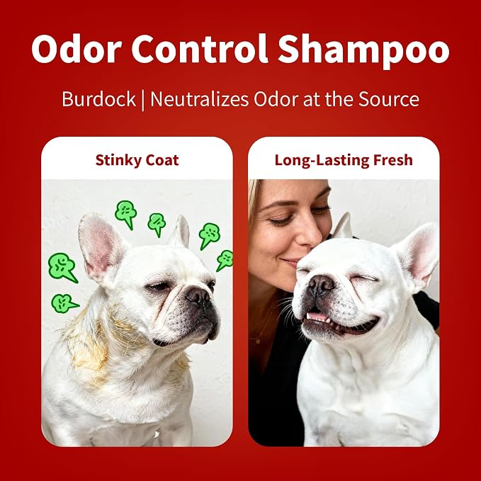 Arf Arf Odor Control Dog Shampoo – Burdock & Oatmeal, Smelly Dogs, 16oz | Odor control, burdock root sebum regulator, oatmeal protein, long-lasting scent, smelly dogs, oily coats, 500ml pump