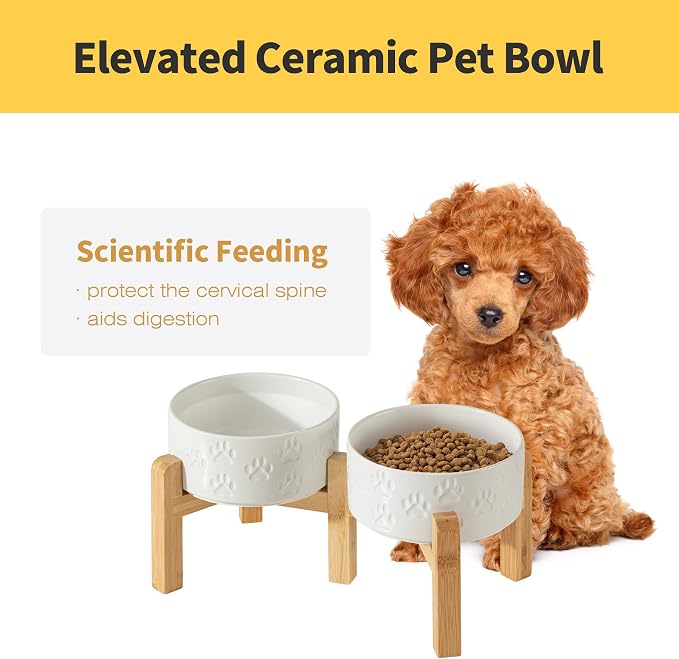 Elevated Ceramic Dog Bowl Set, Anti-Skid Bamboo Stand, White, 6.1 inch | Food and Water Bowls with Fixed Non-Slip Rubber Ring, Microwave Safe, Easy to Clean, 3.5 Cup per Bowl, for Small Breed Dogs