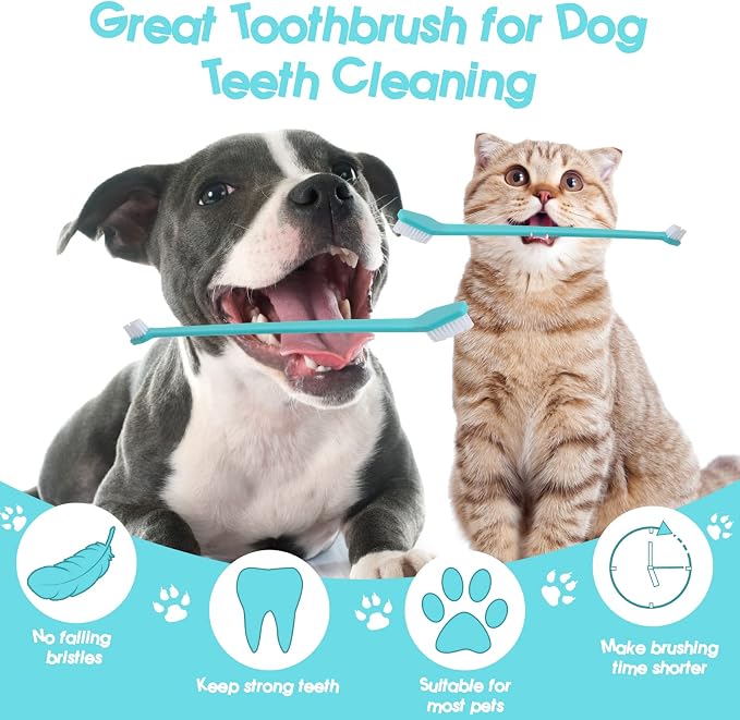 Newday 50 Pack Dual Ended Long Dog & Cat Toothbrush, Pet Safe Super Soft Bristles for Pet Dog Puppy Kitten Dental & Oral Care Teeth & Gums, Pet toothbrushes in Box, Bulk Individual polybag (Colorful)