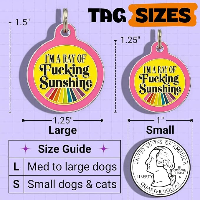 Bad Tags Personalized Dog and Cat ID Tags in 25+ Designs and 2 Sizes - 5 Lines of Custom Engraved Text - Funny Cute Personalized Pet Tags (I'm A Ray of F*cking Sunshine - Pink, Large (1.25 inch))