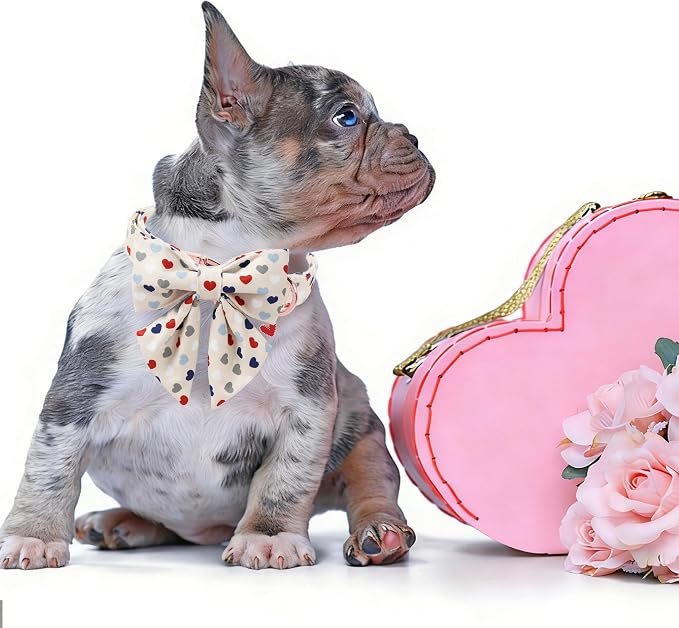 DOGWONG Dog Bow Collar Valentine's Day Dog Collar -Hearts Print Dog Collar with Bowtie Spring Dog Collars Pet Collar Bows Cute Collars,S