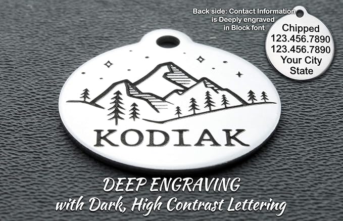 DEEP Custom Stainless Steel Pet ID Tags Front and Back Engraved Dog Tags Personalized for Dogs and Cats (Star-MTN.-Round 1-1/4"x1-1/8)