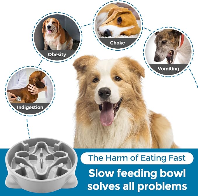VANNON Slow Feeder Dog Bowls Durable Puzzle Feeder Non Slip Dog Food Dish Bloat Stop Food Bowls for Small Medium Dogs, 3 Cups, BPA Free, Grey