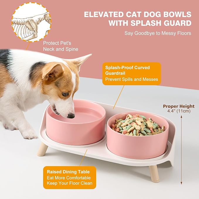 Elevated Ceramic Dog Bowl Set - Double Dog Feeding Bowls with Stand Splash Proof - Raised Dishes for Food and Water - Ideal for Small to Medium Dogs - 2 x 720 ml - 11.3 oz - Pink