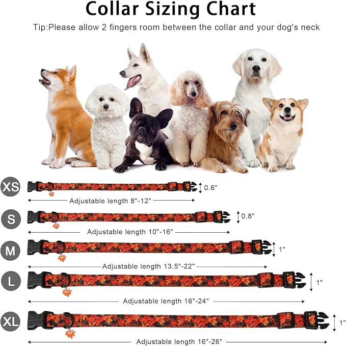 ARING PET Fall Dog Collar, Cute Autumn Orange Maple Leaf Pet Collars for Puppy Small Medium Large Girl Boy Dogs-XS Size