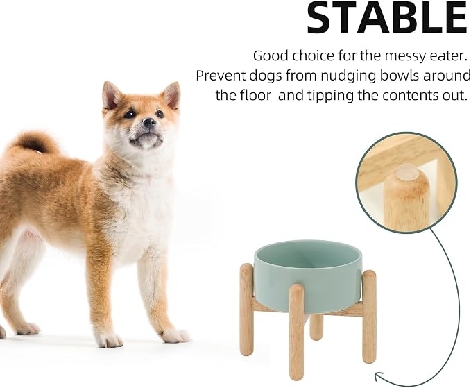 Havniva 6.1inch Ceramic Raised Dog Bowl with Stand, Elevated Dog Bowls for Small and Medium Breed Dog Food and Water Bowl Non-Slip Dog Dish Large Capacity Feeding Pet Water Bowl