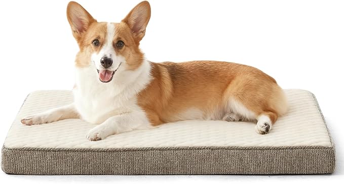 JOEJOY Orthopedic Medium Dog Bed, Washable Dog Crate Bed Medium Sized with Removable Cover, Egg Memory Foam Pet Beds, Beige, 29"x18"