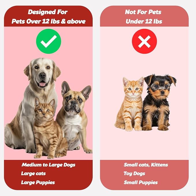 Pet Toothbrush for Dogs, Cats with Soft Bristles - Easy Teeth Cleaning & Dental Care, Non Slip Dual Head Dog Toothbrush for Medium & Large Pets, Toothpaste Not Included, Pack of 2 Pink & Green