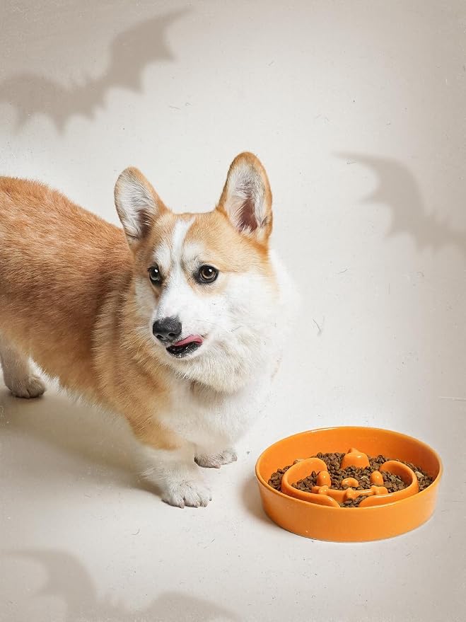 LE TAUCI Ceramic Slow Feeder Dog Bowls Small Breed, 0.6 Cups Dog Food Dish for Fast Eaters, Puzzle Bowl for Dogs and Cats,Pumpkin Orange