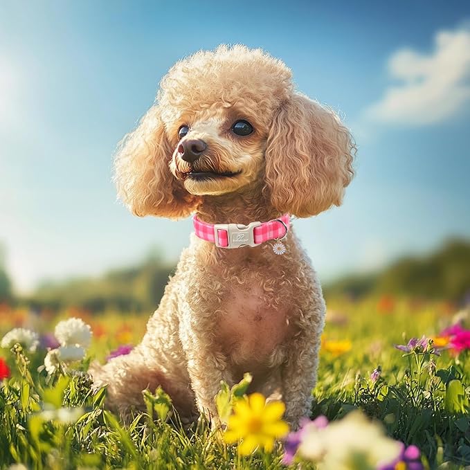 Girl Dog Collar for Small Dogs - Cute Pink Plaid Puppy Collar, Soft Adjustable Spring Summer Female Dog Collars with Quick Release Buckle S