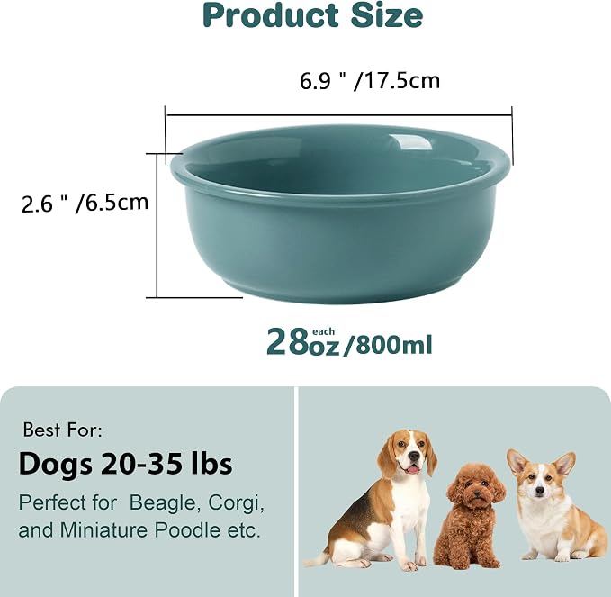 Ceramic Replacement Dog Bowl for Wordcam SS03 Model, 6.9"X2.6", Dark Green | Food and Water Bowl Set, for Small Medium Cats, Pet Feeding Dishes for Dogs 20-35lbs, Thicker Ceramic, Anti-Skid, 28Oz/800ML