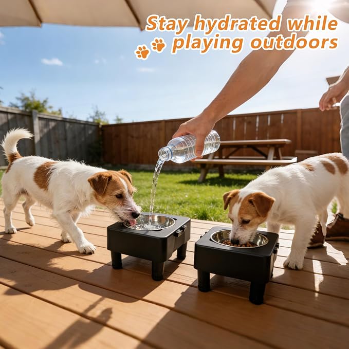 Elevated Dog Bowl Stand, Raised Dog Feeder with Adjustable Height 3.4" to 13.4", Non-Slip Pet Feeding Station Includes 2×27oz Stainless Steel Bowls for Small & Medium Dogs
