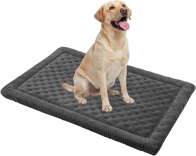 MINIDEAR Dog Crate Pad, Crate Bed Non-Skid Kennel Pad, Rubber Backing Memory Foam for Dog Bed Mat, Machine Washable Dog Bed for Crate, 23"x36"
