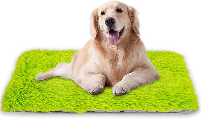 Machine Washable Dog Bed, Deluxe Plush Dog Crate Pad and Cat Bed, Anti-Slip Bottom Kennel Pad Mat, Fuzzy Pet Beds for Large, Medium, Small Dogs Breeds (Grass Green, 36.0"L x 24.0"W x 3.0"Th x 1 Pack)