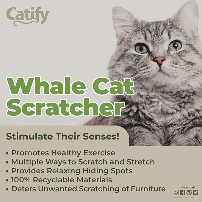 Best Pet Supplies Catify Cat Scratcher, Fun Interactive Scratchers, Posts, Poles, Claw Safe, Furniture Saver Indoor Play Support Natural Cat Behaviors Heavy Duty - Whale