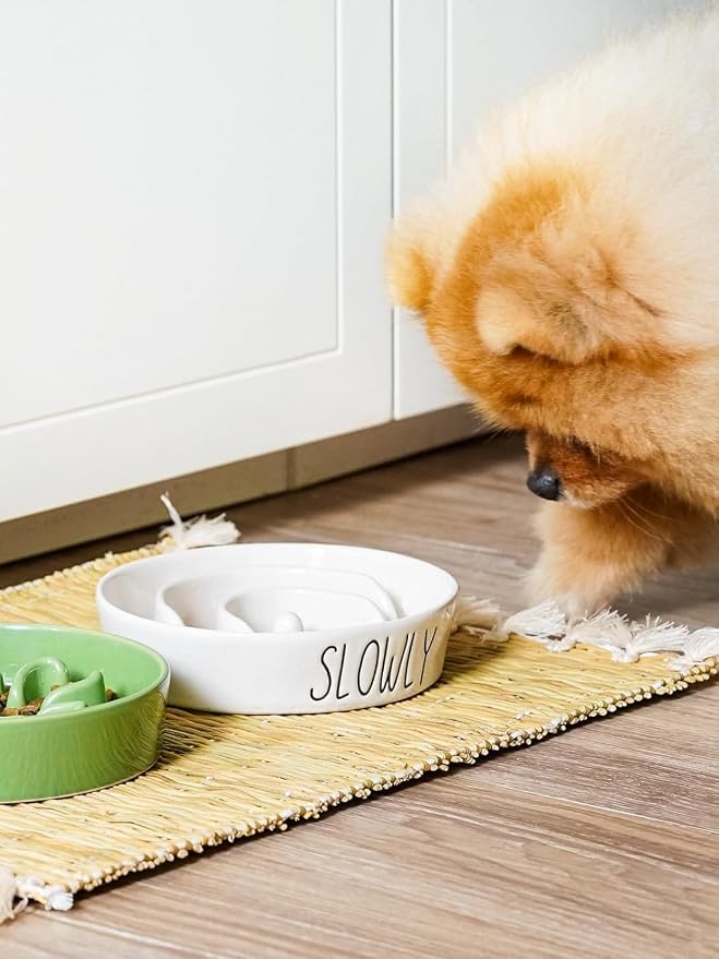LE TAUCI PET Ceramic Elevated Slow Feeder Dog Bowl - 0.6 Cup Puzzle Feeder with Wooden Stand for Small Breeds, White Pet Dish