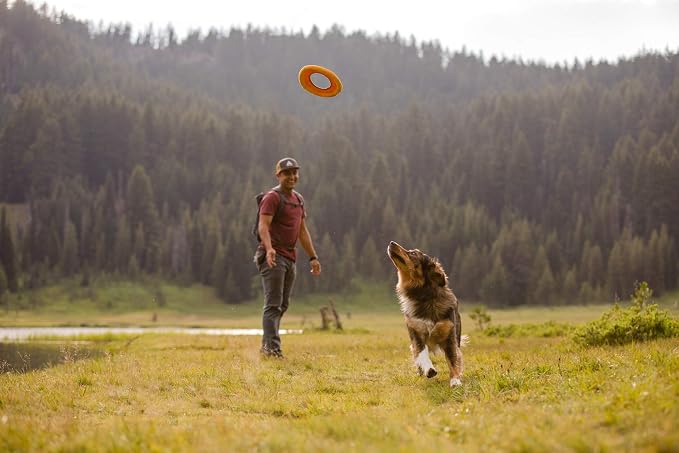 Ruffwear, Hydro Plane Dog Flying Disc, Soft Buoyant Foam Floating Fetch Toy, Lightweight Interactive Water & Snow Toy, Gentle on Teeth, Durable Year-Round Outdoor Play, Tangelo Orange, 9", Medium