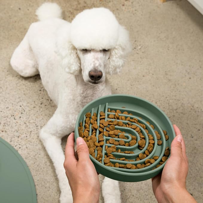 Should We Go? Slow Feeder Dog Bowls - Large Size Silicone Slow Eating Dog Bowl for Puppies & Dogs with Suction Cup -Dishwasher-Safe, Lick Mat Design, Reduces Gulping,for All Breeds,9.5”x1.5”- Spruce