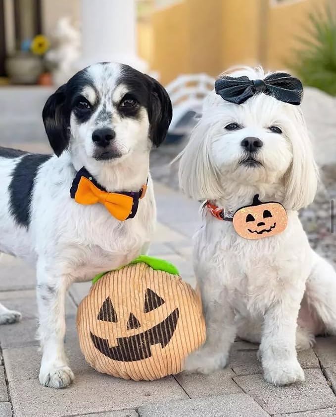 Blueberry Polka Dot Adjustable Dog Collar with Bowtie, Large Neck 18"-26", Perfect Halloween Collar