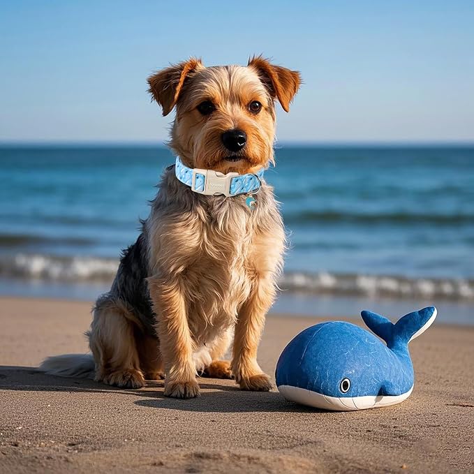 DOGWONG Summer Dog Collar, Cute Blue Whale Dog Collars, Adjustable Summer Shark Pet Collars Boy Male Coastal Beach Necklace for Small Medium Large Dogs