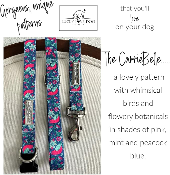 Lucky Love Dog - Adjustable Dog Collar with Easy Click Buckle for Small Ones, Durable, & Comfortable for Male & Female Dogs, Pet Collar for Puppies & Adult Dogs - Carriebelle, XS