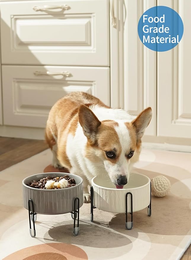 32 oz Ceramic Dog Cat Bowls with Elevated Metal Stand | 6.5 Inch Wide, 2 Heights, Round Pet Food and Water Feeder Bowl Dish, for Cats & Dogs, White & Grey