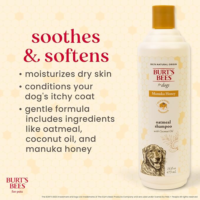Burts Bees for Pets Manuka Honey Oatmeal Shampoo, Milk and Honey, 16 Fl Oz | Colloidal oatmeal and coconut oil, 95%+ natural origin, sulfate- and paraben-free, milk and honey scent