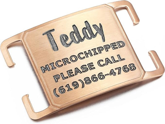 Rugged & Refined: Immovable Slide-On Pet ID Tag - Silent No-Noise Design - Deep Laser Engraved Horology-Grade Steel - Large | PVD Rose Gold