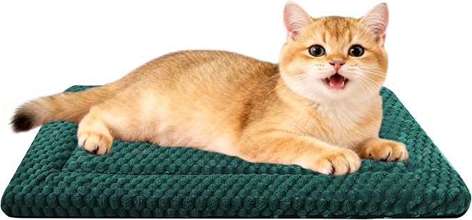 Dog Bed Mat,Reversible & Ultra Soft Kennel Pad-Machine Washable Pet Bed for Dogs & Cats-All-Weather Crate Liner for Crates,Carriers & Travel (Dark Green, 18" L x 14" W x 1.5" Th)