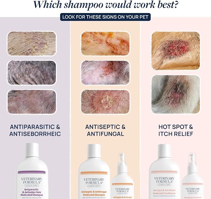 Veterinary Formula Clinical Care Antiseptic & Antifungal Shampoo + Spray | Complete antiseptic and antifungal shampoo and spray care for scaly, greasy or red skin in dogs and cats