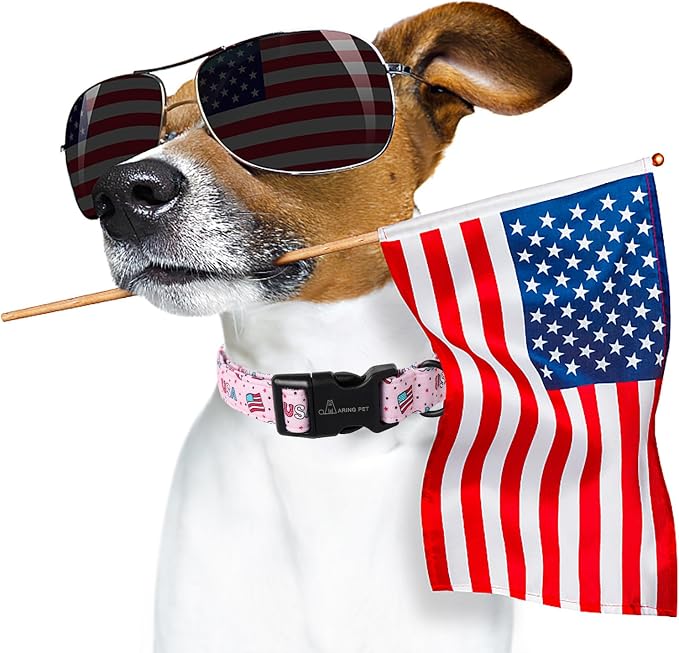 ARING PET 4th of July Collars for Dogs, Fourth of July Pink Patriotic USA Flag Dog Collar for Puppy Small Medium Large Boy Girl Doggy-XS