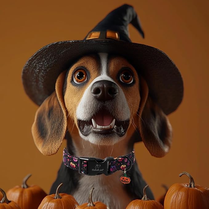 Halloween Dog Collar Spooky Fun Pumpkin Puppy Collar - Light Comfortable Adjustable Pet Collars for Small Medium Large Girl Boy Dogs S