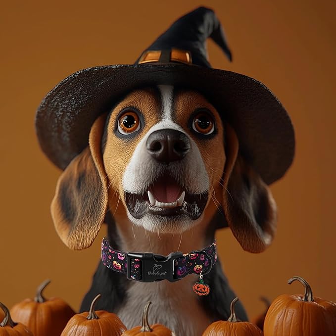 Halloween Dog Collar Spooky Fun Pumpkin Puppy Collar - Light Comfortable Adjustable Pet Collars for Small Medium Large Girl Boy Dogs L