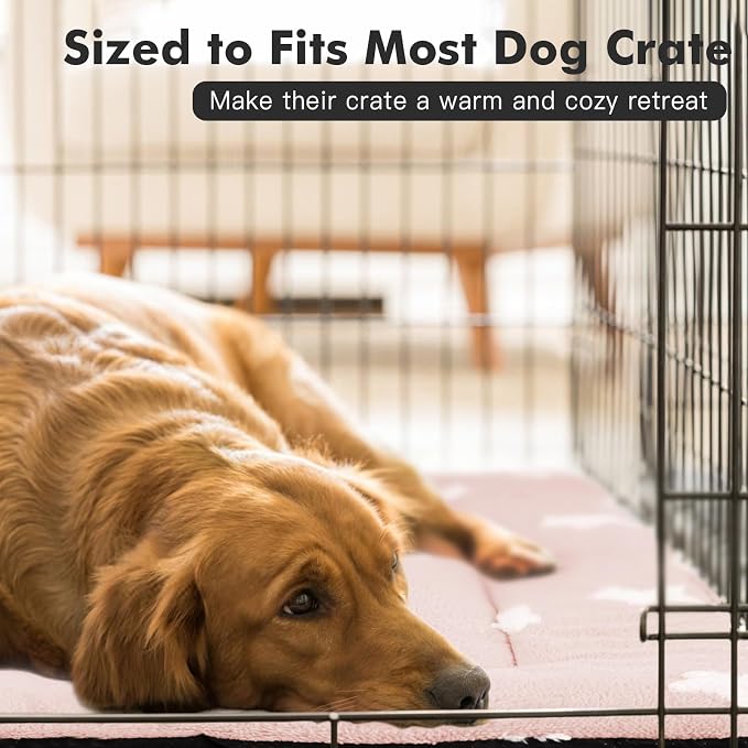 Mora Pets Cat Beds for Indoor Cats Washable Cat Mat Bed Flat Dog Crate Pad | Ultra Soft Cat Bed for Carrier, Puppy Crate Pad for Dog Cages Cozy Sleeping Liner, Small Cat Pillow Cushion Anti Slip 22 x 13