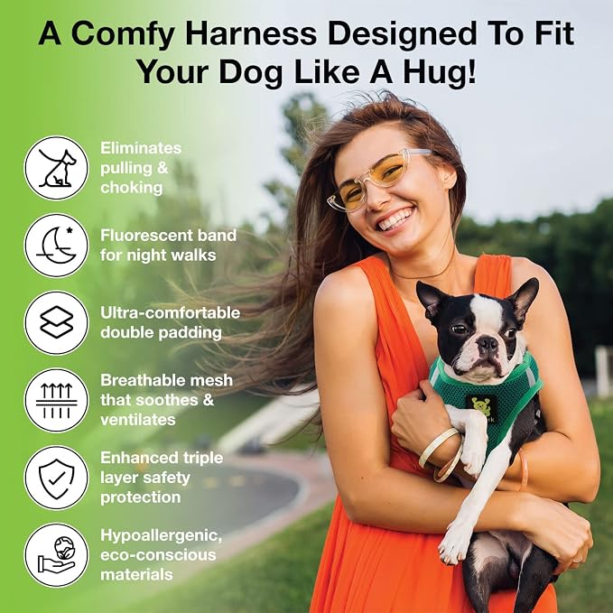 EcoBark Teacup Dog Harness - Luxury Step in Mesh Dog Harness in Forest Green - Soft & Secure Body Halter Vest