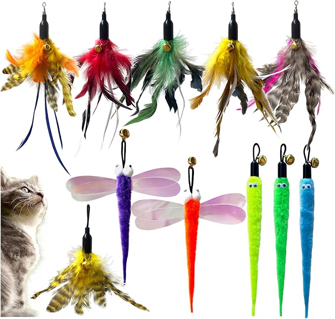 AcceLeah 11Pcs Cat Wand Refills, Feather Dragonfly & Worm Attachments