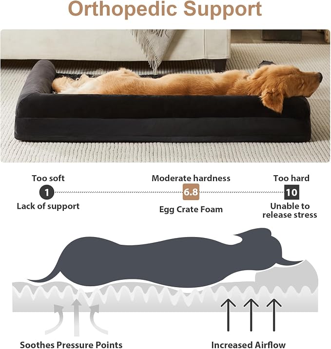 BFPETHOME Orthopedic Washable XXL Dog Bed for Senior Dog Cozy Sleep | Extra Large Waterproof Big Soft Pet Couch Bed for Dogs Relax with Removable Cover Supportive Egg Crate Foam Black 48x35 Inch