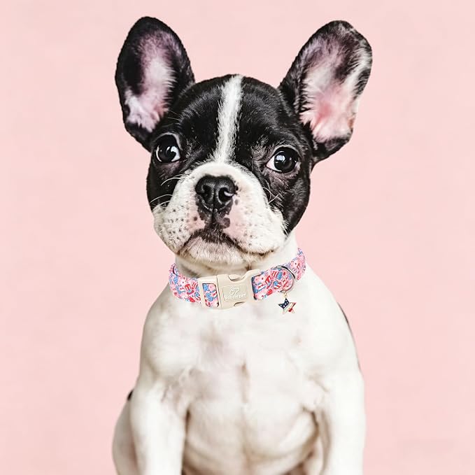 4th of July Dog Collar, Cute Pink Patriotic Dog Collars for Large Dogs - Independence Day Girly Pup Collars, Soft Adjustable Flag Day Female Dog Collar L