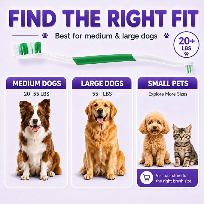 Dog Toothbrush, Dual-Head, for Medium-Large Dogs,Green | Soft Bristles for Gentle Cleaning, 60° Curved Bristles for Better Coverage, Comfortable for Sensitive Gums