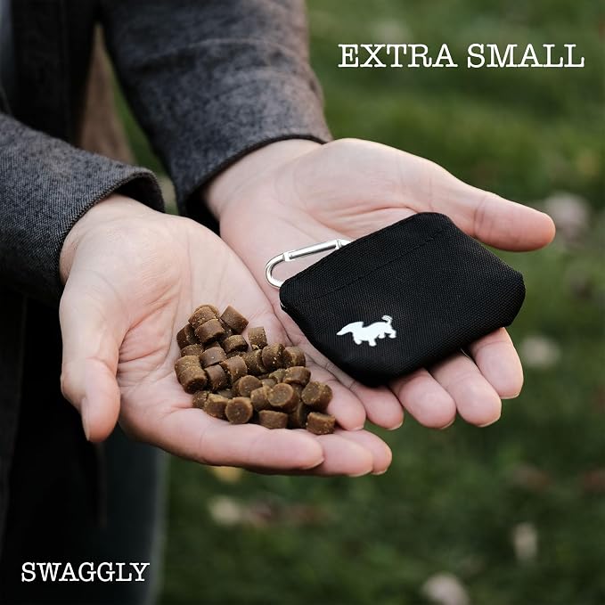 Extra Small Dog Treat Pouch – Slim Magnetic Pocket Dog Treat Bag for Walking & Training – Discreet Clip On Treat Pouch for Leash, Waistband or Pocket – Mess Free Storage (Black/Gray)