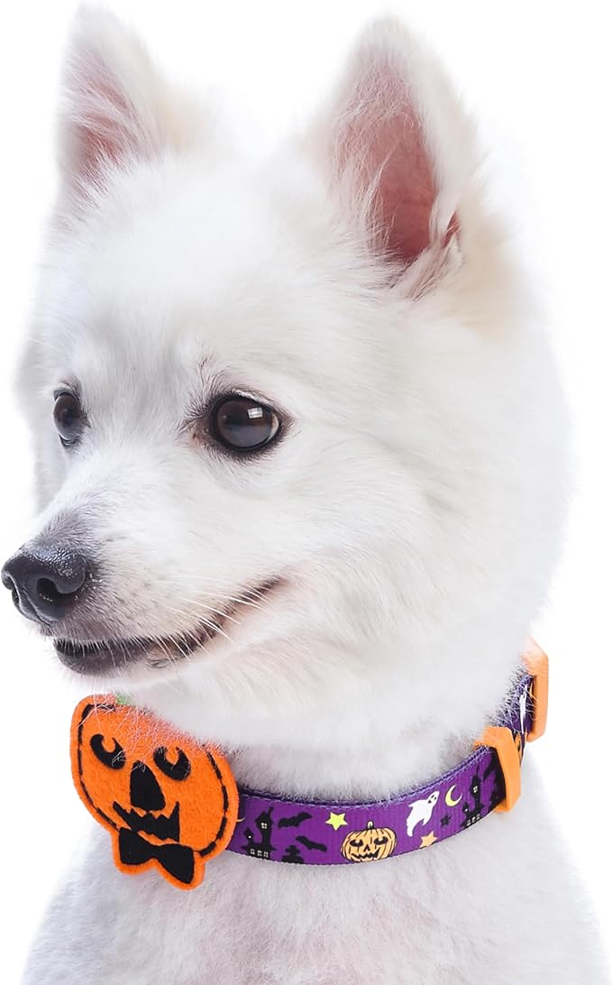 Blueberry Pet Halloween Darkness Deserted Castle Designer Adjustable Dog Collar with Decoration, Small, Neck 12"-16"