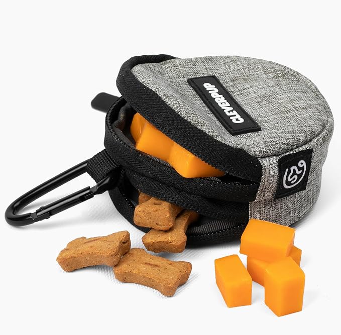 Snackpack Double Insulated Dog Treat Pouch – 1.5 Cup Capacity, 2 BPA-Free Waterproof Zipper Pockets, Carabiner for Belt/Leash – Compact Training & Travel Bag – Heather Grey