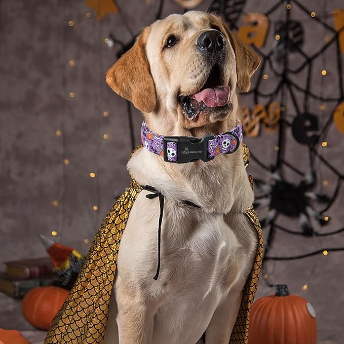 ARING PET Halloween Dog Collar-Cotton Purple Pumpkin Dog Collars, Adjustable Skull Bat Print Pet Collar Puppy Collars with Quick Release Buckle for Girl&Boy Dogs