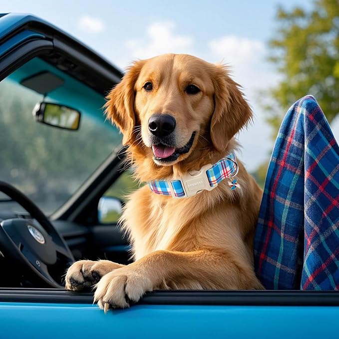 DOGWONG Blue Plaid Dog Collar- Cute Checkered Dog Collars Adjustable Designer Blue Puppy Dog Collar for Small Medium Large Dogs S