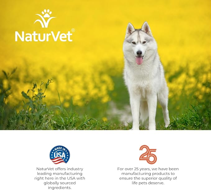 NaturVet Hemp Deodorizing Shampoo for Dogs - Plus Oatmeal & Honey – 16 oz | Gently Cleanses & Deodorizes Skin & Coat, Enhanced with Hemp Seed Oil, Coconut Oil & Aloe Vera Extract